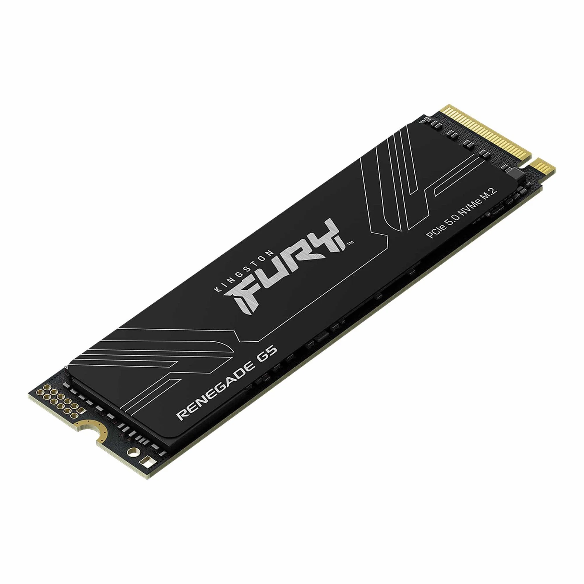 Kingston Fury Renegade G5